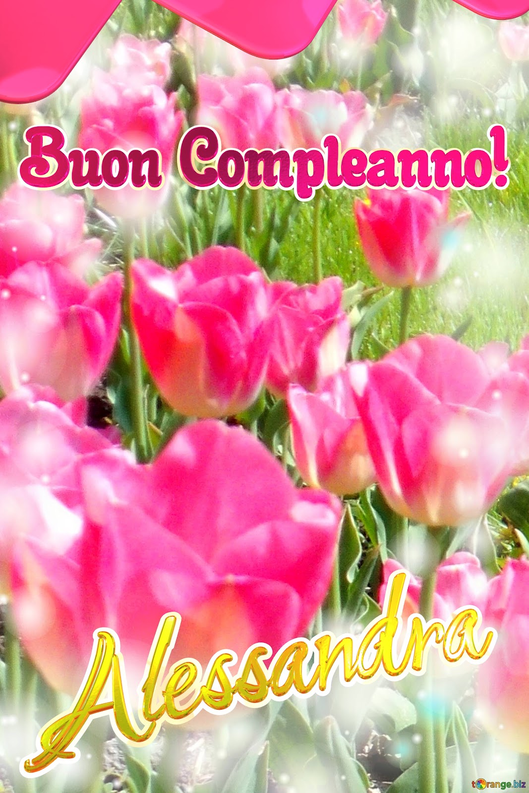 Buon compleanno Alessandra – immagine di buon compleanno n. 5