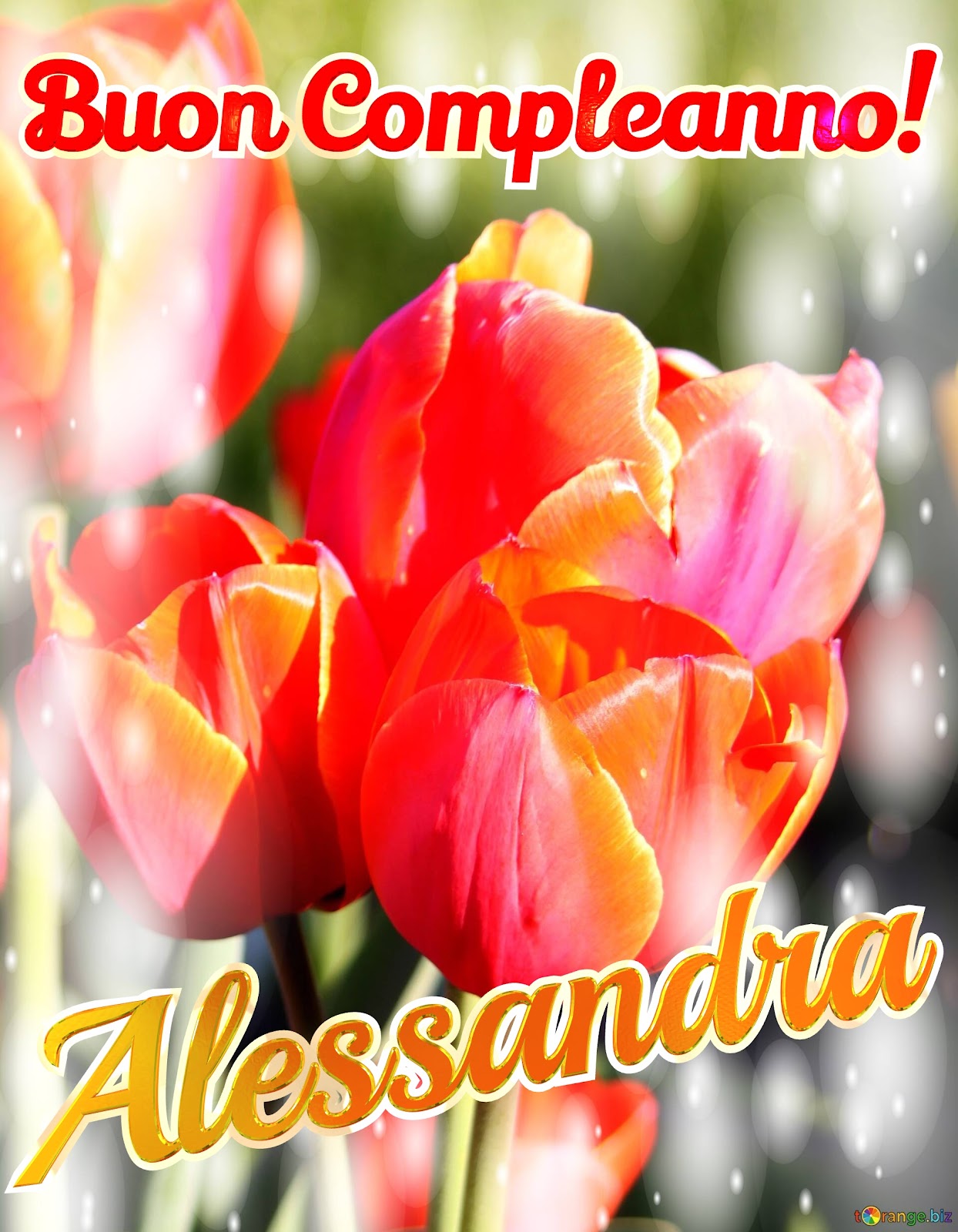 Buon compleanno Alessandra – immagine di buon compleanno n. 4