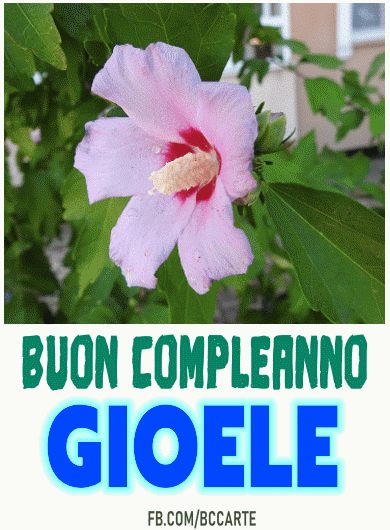 Buon compleanno Gioele – GIF di buon compleanno n. 4