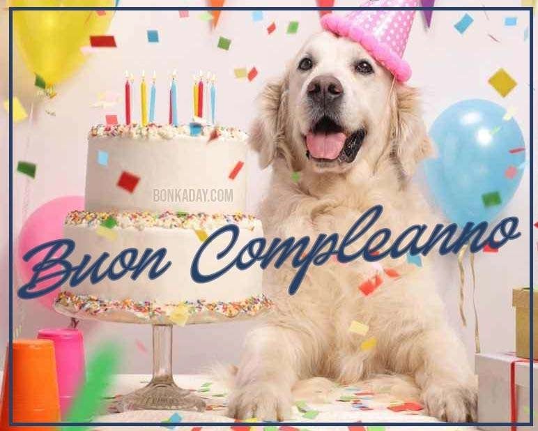 Buon compleanno Amore Mio – immagine di buon compleanno n. 21