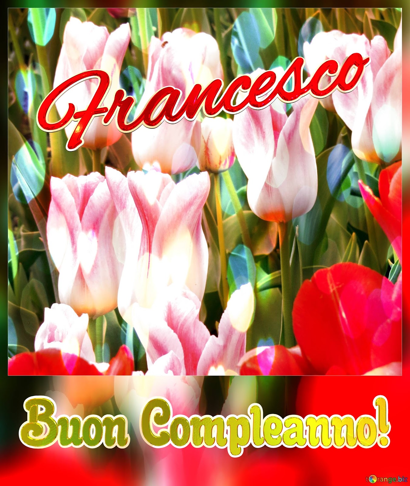 Buon compleanno Nipote Francesco – immagine di buon compleanno n. 171