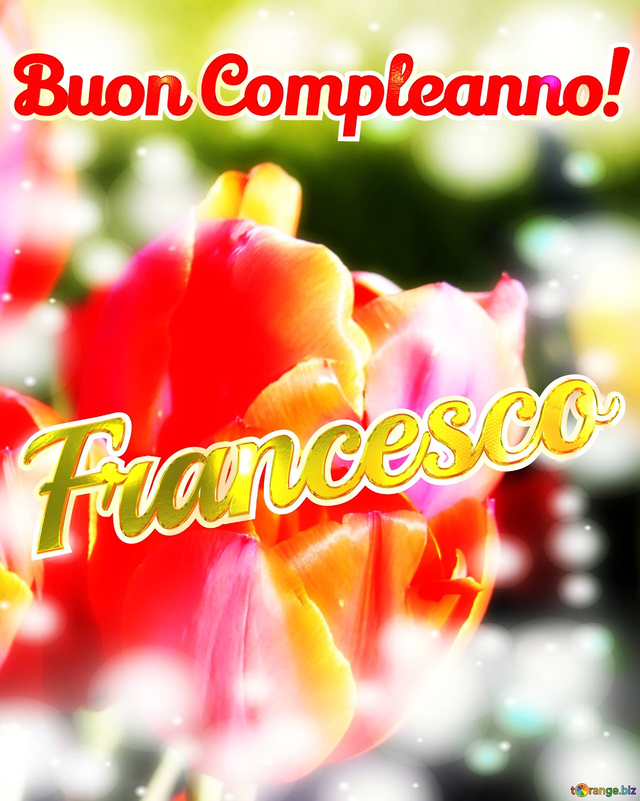 Buon compleanno Nipote Francesco – immagine di buon compleanno n. 172