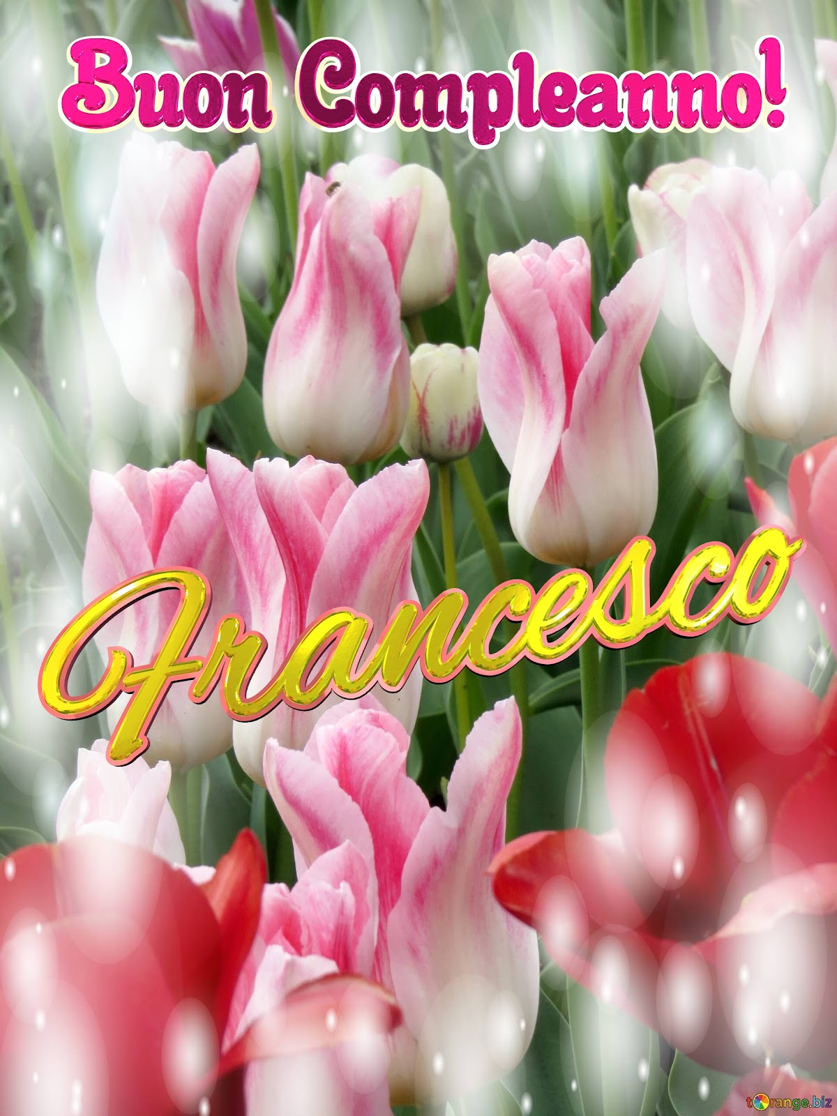 Buon compleanno Nipote Francesco – immagine di buon compleanno n. 173
