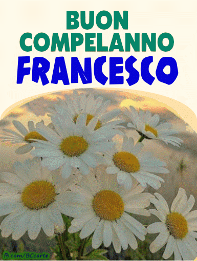 Buon compleanno Nipote Francesco – GIF di buon compleanno n. 15