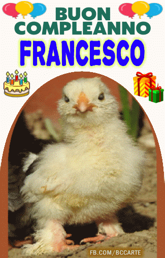 Buon compleanno Nipote Francesco – GIF di buon compleanno n. 5