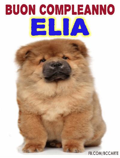 Buon compleanno Elia – GIF di buon compleanno n. 19