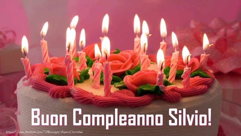 Buon compleanno Silvio – immagine di buon compleanno n. 93
