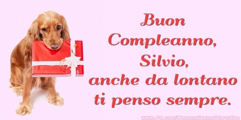 Buon compleanno Silvio – immagine di buon compleanno n. 94