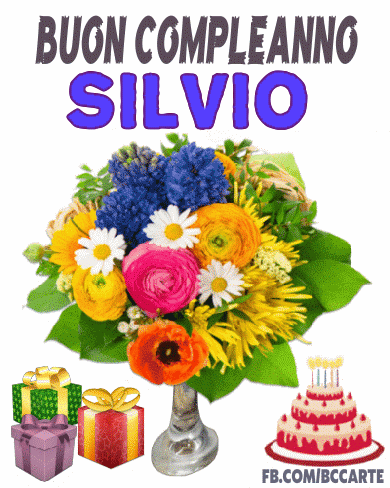 Buon compleanno Silvio – GIF di buon compleanno n. 19