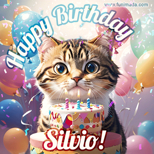 Buon compleanno Silvio – GIF di buon compleanno n. 4