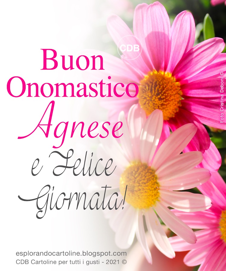 Buon compleanno Agnese – immagine di buon compleanno n. 29