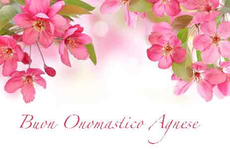 Buon compleanno Agnese – immagine di buon compleanno n. 30