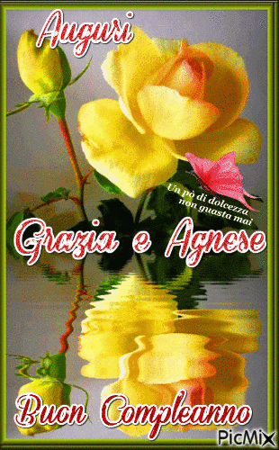 Buon compleanno Agnese – GIF di buon compleanno n. 20