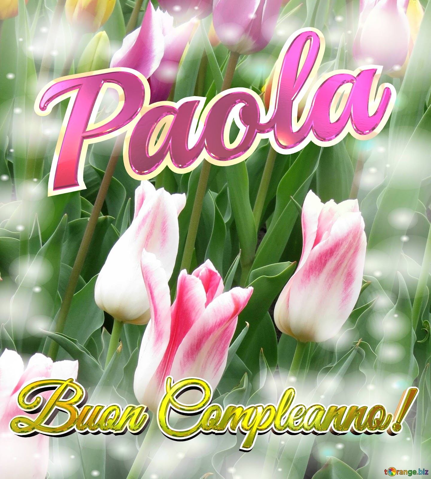 Buon compleanno Paola – immagine di buon compleanno n. 3