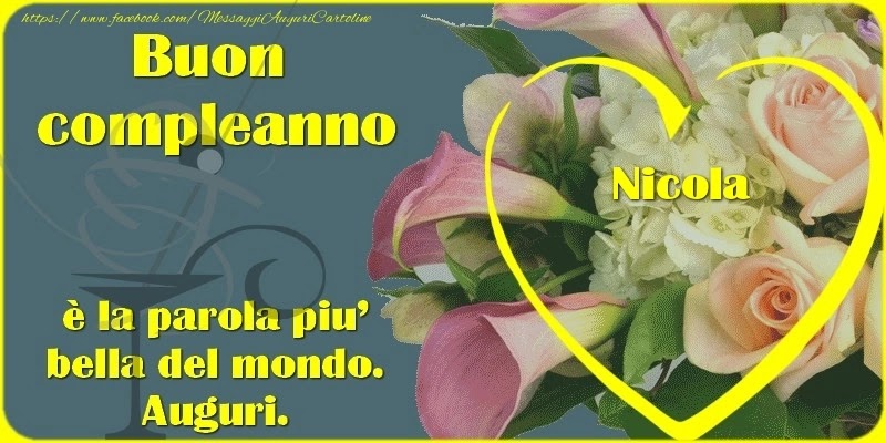 Buon compleanno Nicola – immagine di buon compleanno n. 134