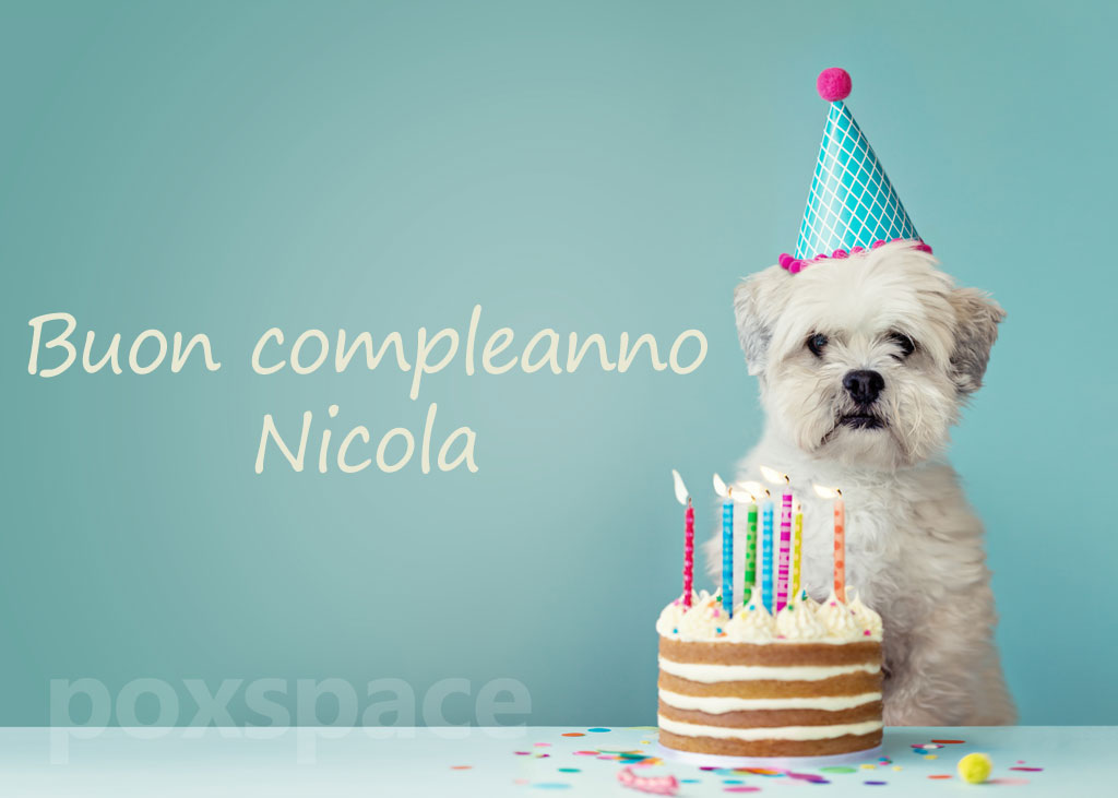 Buon compleanno Nicola – immagine di buon compleanno n. 89