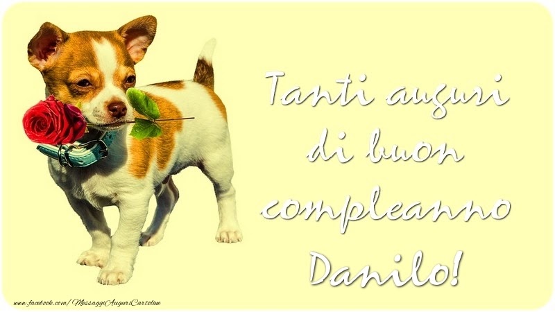 Buon compleanno Danilo – immagine di buon compleanno n. 69