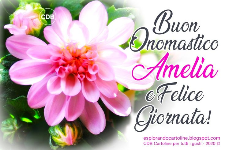 Buon compleanno Amelia – immagine di buon compleanno n. 1