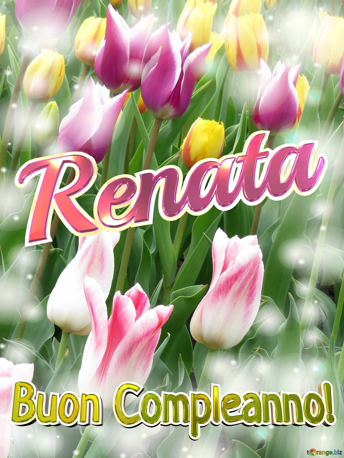 Buon compleanno Renata – immagine di buon compleanno n. 52