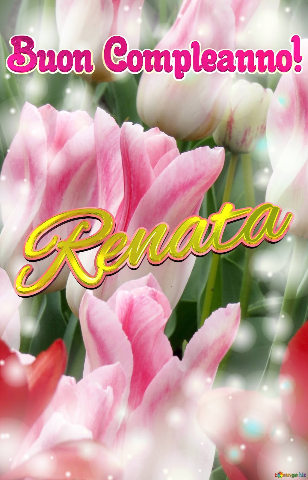 Buon compleanno Renata – immagine di buon compleanno n. 53
