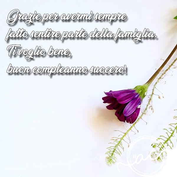 Auguri Di Buon Compleanno Al Suocero – immagine di buon compleanno n. 15